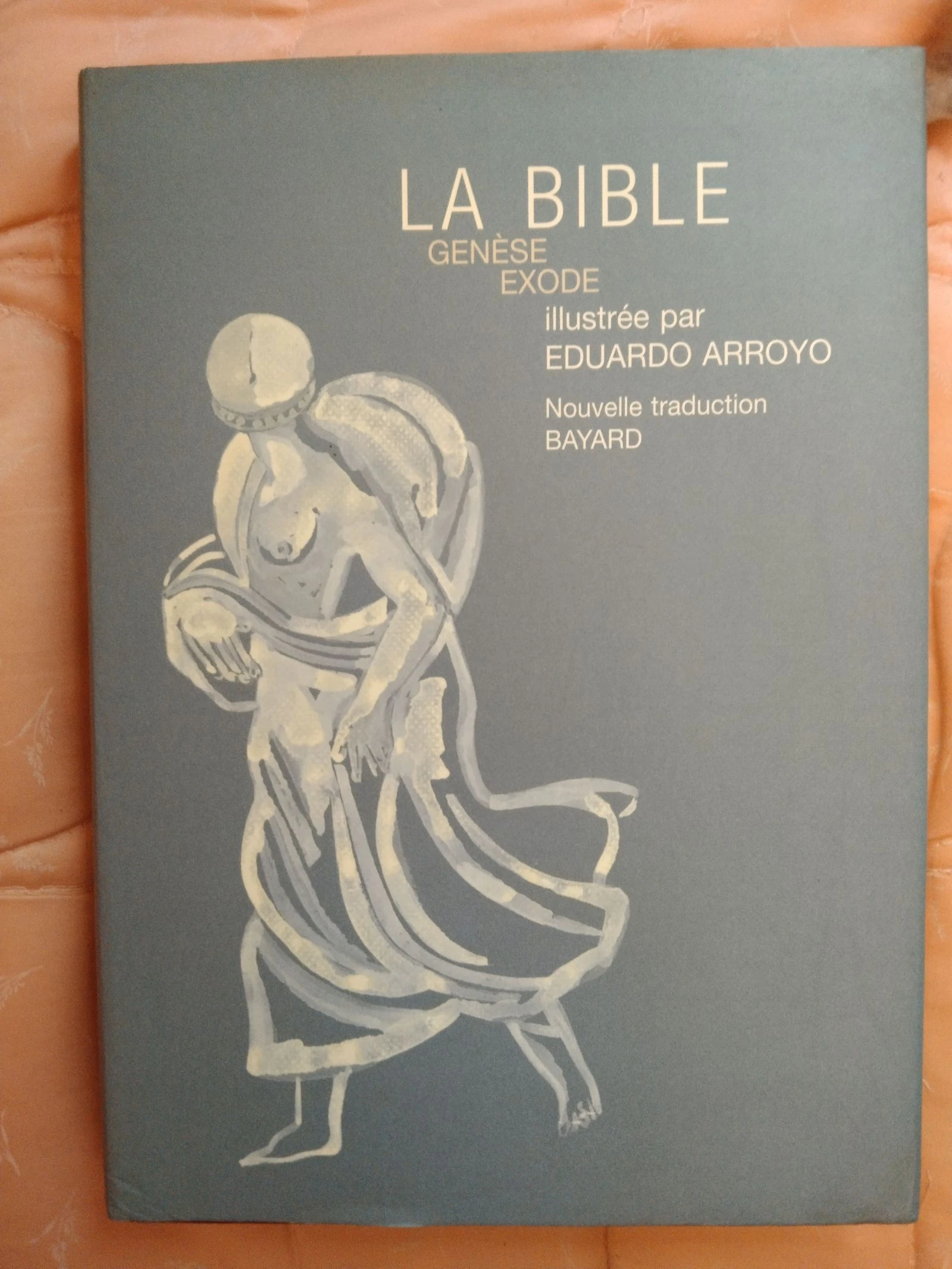 Libro La biblia/Le bible